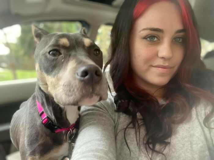 Woman Takes A Starving Pit Bull Under Her Wing After It Had Been Found Locked Up In An Abandoned House With A Broken Leg And No Food Woman Takes A Starving Pit Bull Under Her Wing After It Had Been Found Locked Up In An Abandoned House With A Broken Leg And No Food