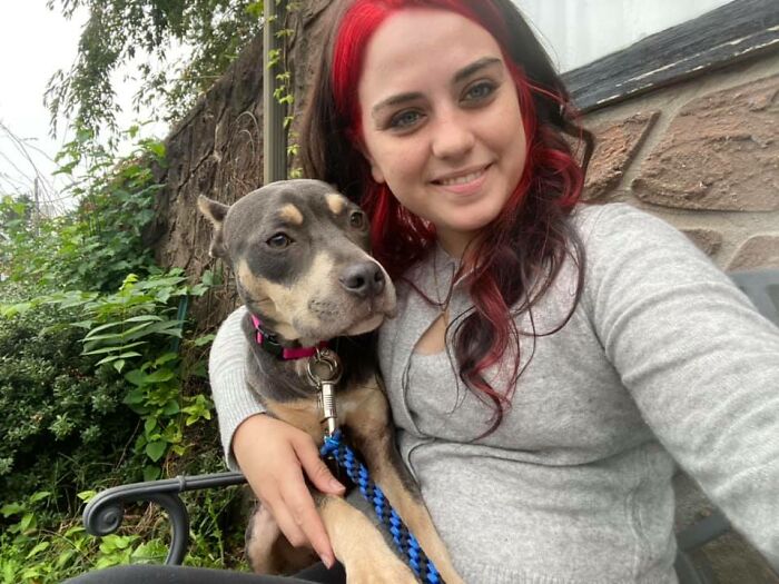 Woman Takes A Starving Pit Bull Under Her Wing After It Had Been Found Locked Up In An Abandoned House With A Broken Leg And No Food Woman Takes A Starving Pit Bull Under Her Wing After It Had Been Found Locked Up In An Abandoned House With A Broken Leg And No Food