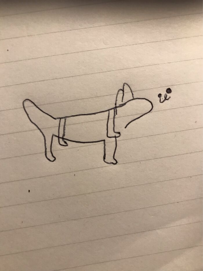 Hey Pandas, Try To Draw Your Pet With Your Eyes Closed (Closed) Hey Pandas, Try To Draw Your Pet With Your Eyes Closed (Closed)