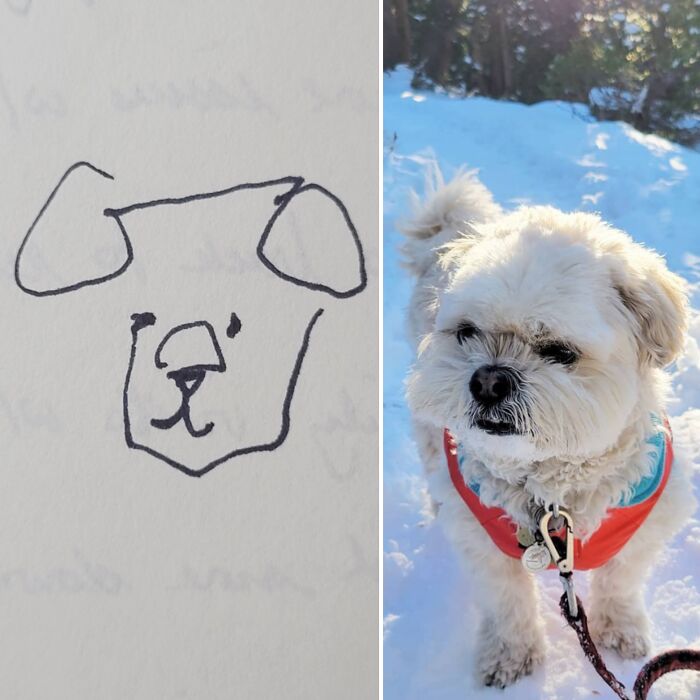 Hey Pandas, Try To Draw Your Pet With Your Eyes Closed (Closed) Hey Pandas, Try To Draw Your Pet With Your Eyes Closed (Closed)