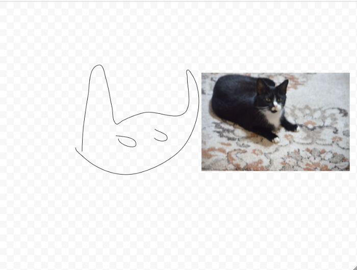 Hey Pandas, Try To Draw Your Pet With Your Eyes Closed (Closed) Hey Pandas, Try To Draw Your Pet With Your Eyes Closed (Closed)