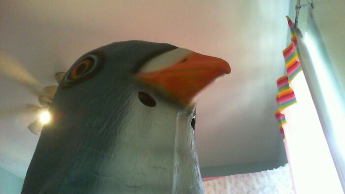 Hey Pandas, Post The Weirdest Picture In Your Camera Roll (Closed) Hey Pandas, Post The Weirdest Picture In Your Camera Roll (Closed)