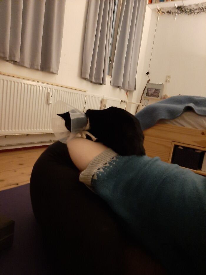 Hey Pandas, Post The Weirdest Picture In Your Camera Roll (Closed) Hey Pandas, Post The Weirdest Picture In Your Camera Roll (Closed)