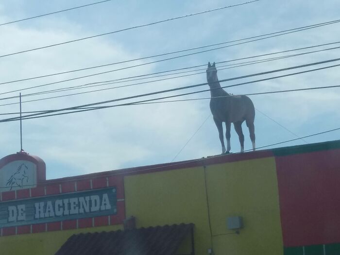 Hey Pandas, Post The Weirdest Picture In Your Camera Roll (Closed) Hey Pandas, Post The Weirdest Picture In Your Camera Roll (Closed)