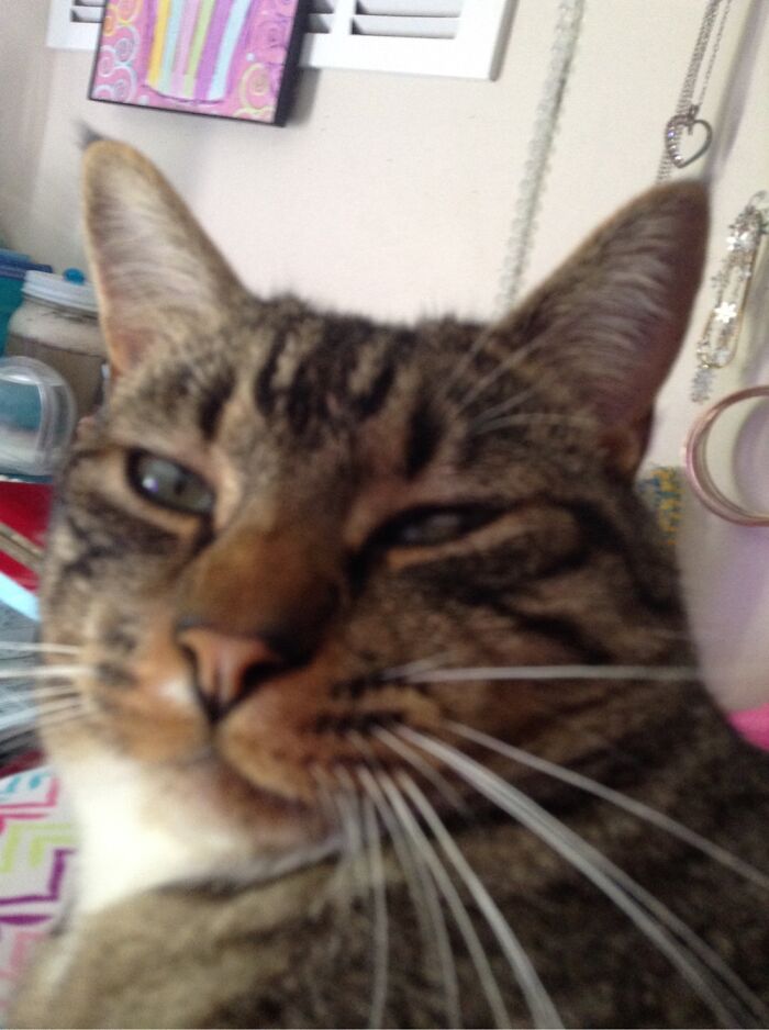 Hey Pandas, Post The Weirdest Picture In Your Camera Roll (Closed) Hey Pandas, Post The Weirdest Picture In Your Camera Roll (Closed)