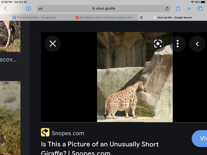 Hey Pandas, Post The Weirdest Picture In Your Camera Roll (Closed) Hey Pandas, Post The Weirdest Picture In Your Camera Roll (Closed)