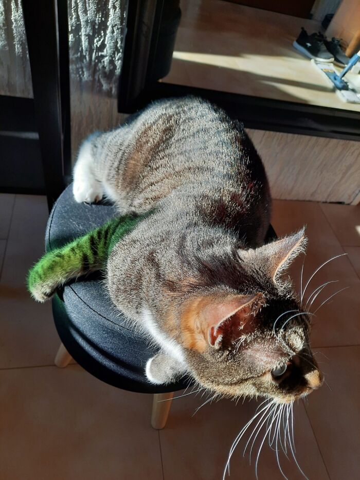 Hey Pandas, Post The Weirdest Picture In Your Camera Roll (Closed) Hey Pandas, Post The Weirdest Picture In Your Camera Roll (Closed)