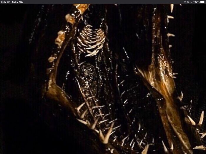 Hey Pandas, Post The Weirdest Picture In Your Camera Roll (Closed) Hey Pandas, Post The Weirdest Picture In Your Camera Roll (Closed)