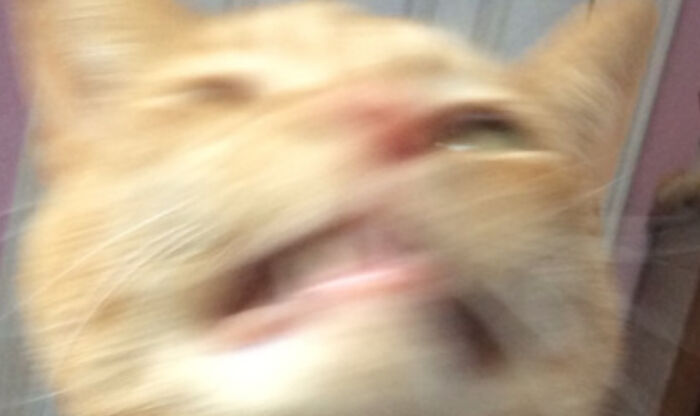 Hey Pandas, Post The Weirdest Picture In Your Camera Roll (Closed) Hey Pandas, Post The Weirdest Picture In Your Camera Roll (Closed)