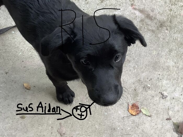 Hey Pandas, Post The Weirdest Picture In Your Camera Roll (Closed) Hey Pandas, Post The Weirdest Picture In Your Camera Roll (Closed)