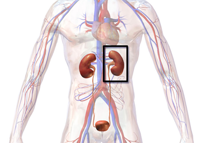 The More You Know: Internet Users Share 50 Cool Facts That Everyone Should Know The More You Know: Internet Users Share 50 Cool Facts That Everyone Should Know