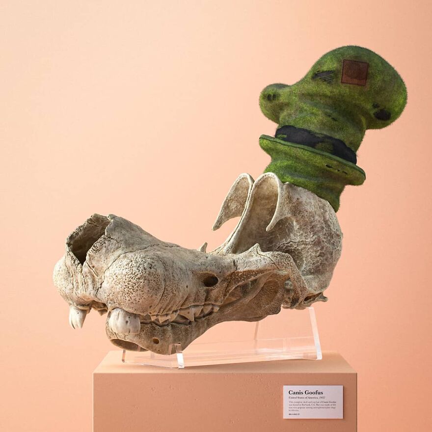 Artist Creates Anatomically Correct Skulls Of Popular Cartoon Characters (14 Pics)