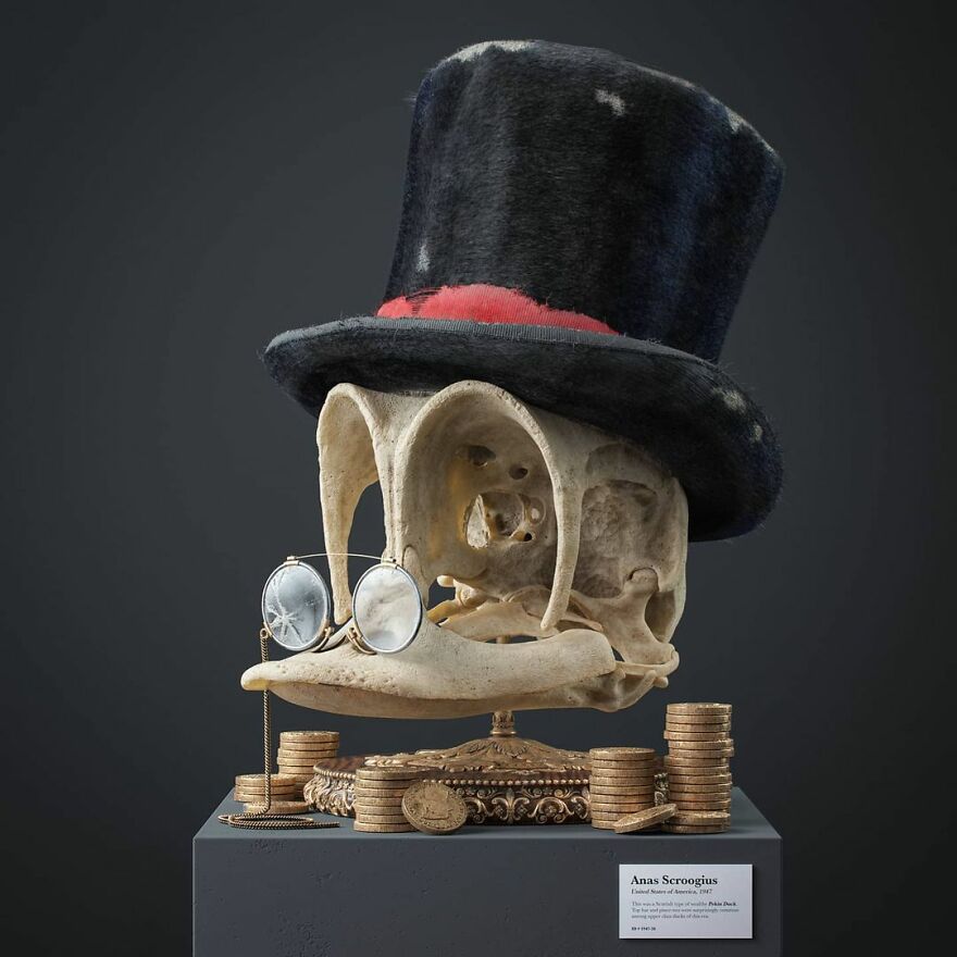 Artist Creates Anatomically Correct Skulls Of Popular Cartoon Characters (14 Pics)