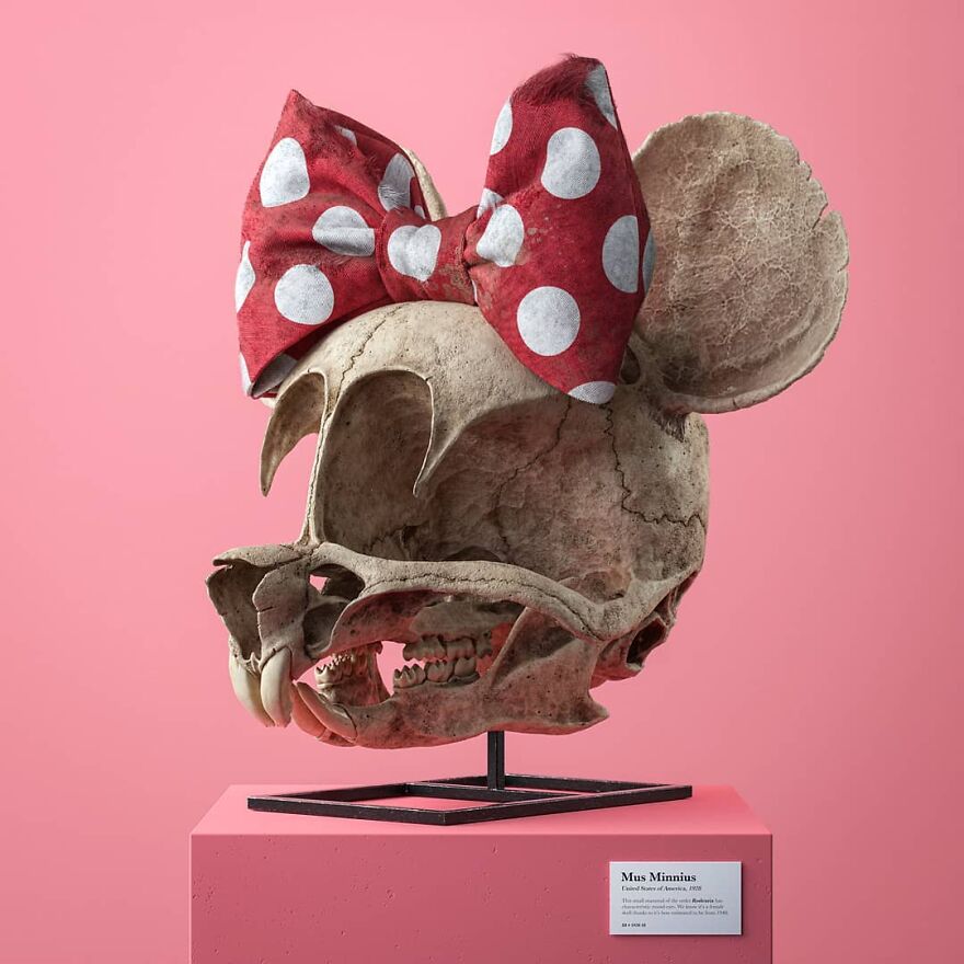 Artist Creates Anatomically Correct Skulls Of Popular Cartoon Characters (14 Pics)