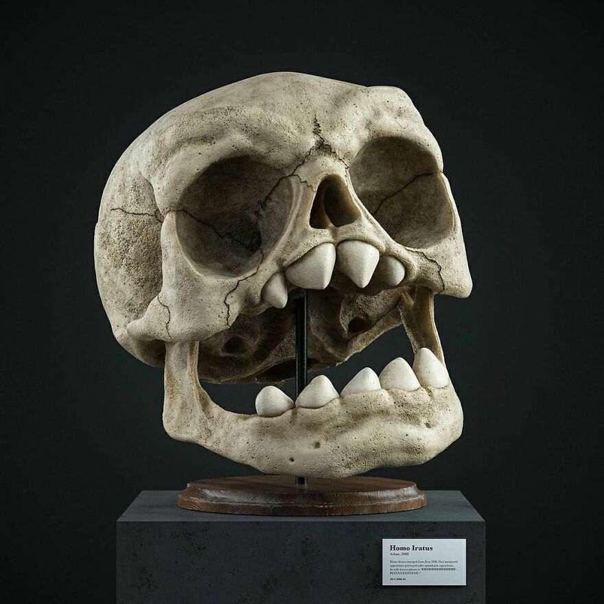 Artist Creates Anatomically Correct Skulls Of Popular Cartoon Characters (14 Pics)