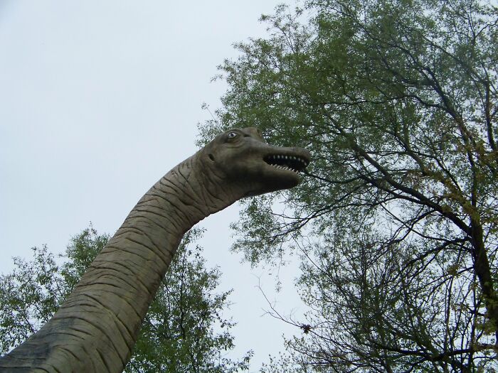 Guy Reveals 12 Things That A Lot Of People Thought Happened Years Ago, But Are In Fact More Recent Guy Reveals 12 Things That A Lot Of People Thought Happened Years Ago, But Are In Fact More Recent