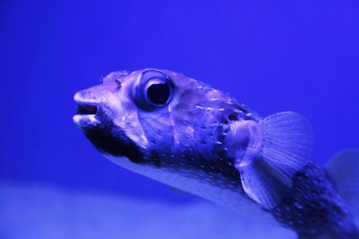 50 Very Spooky Facts From Real Life That You Should Avoid If You Get Scared Easily 50 Very Spooky Facts From Real Life That You Should Avoid If You Get Scared Easily