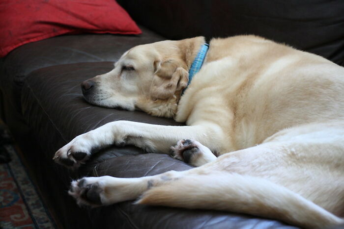 Someone Online Asked “What Took You An Embarrassing Amount Of Time To Figure Out?”, And 30 People Delivered Someone Online Asked “What Took You An Embarrassing Amount Of Time To Figure Out?”, And 30 People Delivered