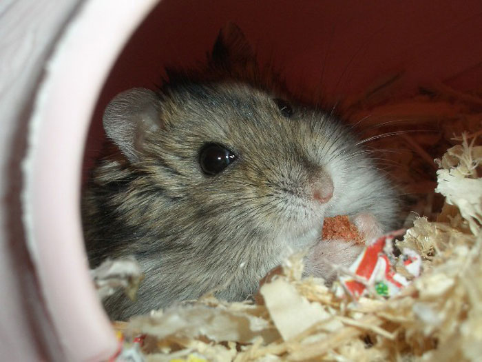 Someone Online Asked “What Took You An Embarrassing Amount Of Time To Figure Out?”, And 30 People Delivered Someone Online Asked “What Took You An Embarrassing Amount Of Time To Figure Out?”, And 30 People Delivered