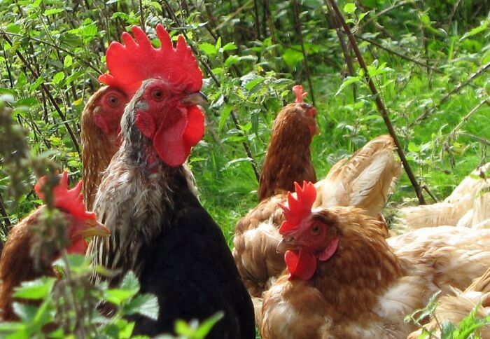 Someone Online Asked “What Took You An Embarrassing Amount Of Time To Figure Out?”, And 30 People Delivered Someone Online Asked “What Took You An Embarrassing Amount Of Time To Figure Out?”, And 30 People Delivered