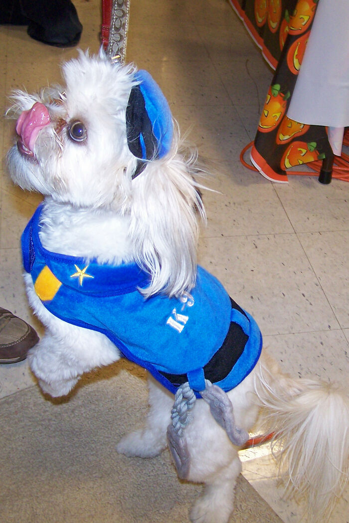 Someone Online Asked “What Took You An Embarrassing Amount Of Time To Figure Out?”, And 30 People Delivered Someone Online Asked “What Took You An Embarrassing Amount Of Time To Figure Out?”, And 30 People Delivered