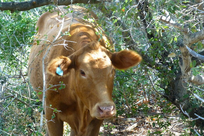 Someone Online Asked “What Took You An Embarrassing Amount Of Time To Figure Out?”, And 30 People Delivered Someone Online Asked “What Took You An Embarrassing Amount Of Time To Figure Out?”, And 30 People Delivered