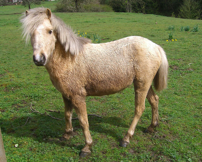 Someone Online Asked “What Took You An Embarrassing Amount Of Time To Figure Out?”, And 30 People Delivered Someone Online Asked “What Took You An Embarrassing Amount Of Time To Figure Out?”, And 30 People Delivered