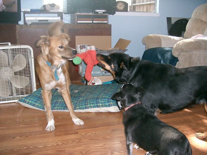 Someone Online Asked “What Took You An Embarrassing Amount Of Time To Figure Out?”, And 30 People Delivered Someone Online Asked “What Took You An Embarrassing Amount Of Time To Figure Out?”, And 30 People Delivered