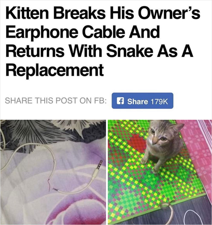 &#8220;There Was An Attempt&#8221;: People Share The Worst Fails They&#8217;ve Seen (50 New Pics)