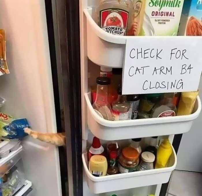 &#8220;There Was An Attempt&#8221;: People Share The Worst Fails They&#8217;ve Seen (50 New Pics)