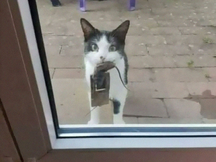 &#8220;There Was An Attempt&#8221;: People Share The Worst Fails They&#8217;ve Seen (50 New Pics)