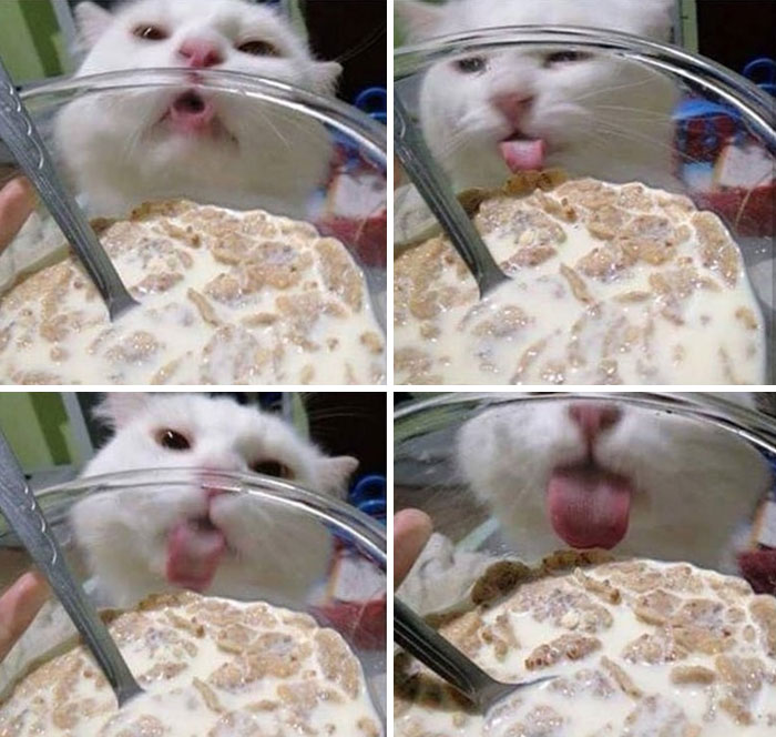 &#8220;There Was An Attempt&#8221;: People Share The Worst Fails They&#8217;ve Seen (50 New Pics)