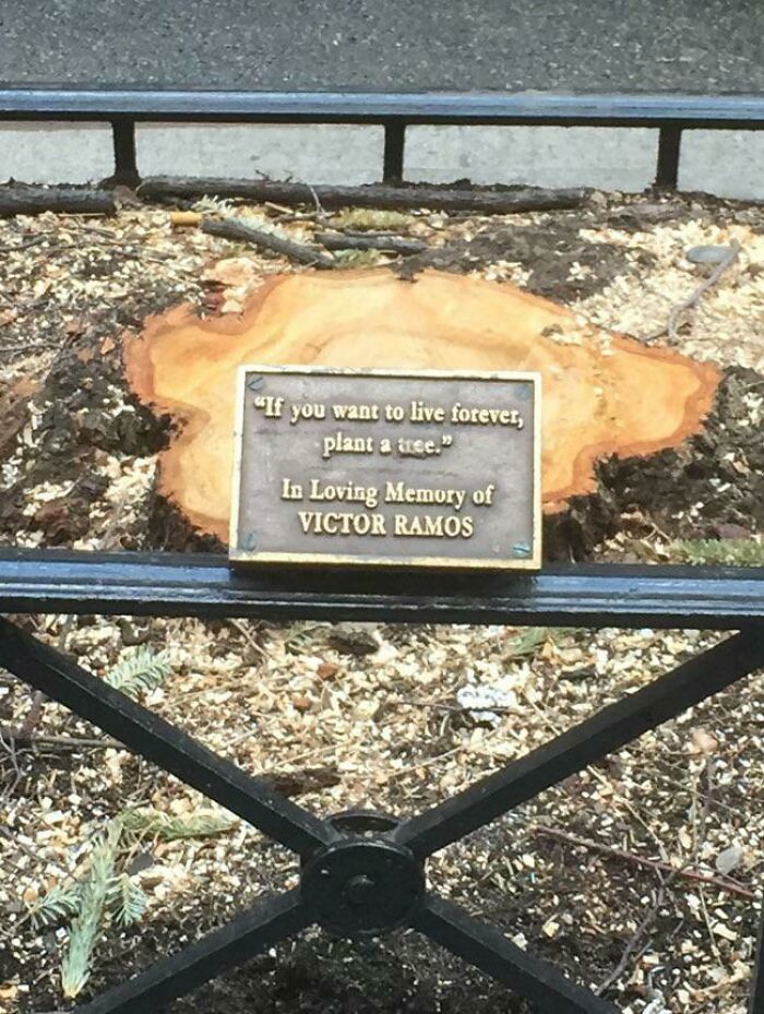 &#8220;There Was An Attempt&#8221;: People Share The Worst Fails They&#8217;ve Seen (50 New Pics)