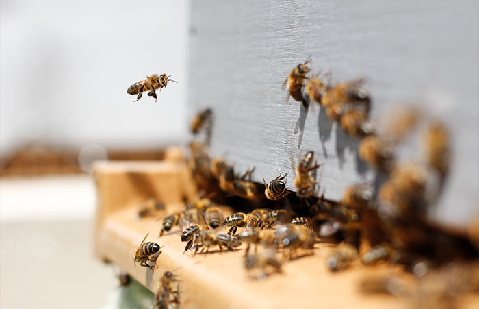 TikToker Shares &#8220;Fun Facts You May Have Not Wanted To Know&#8221;, Here Are 30 Of The Best