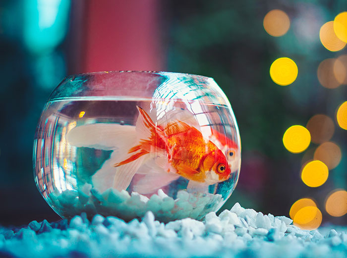 TikToker Shares &#8220;Fun Facts You May Have Not Wanted To Know&#8221;, Here Are 30 Of The Best