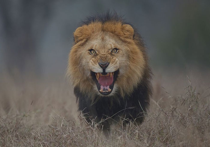 TikToker Shares &#8220;Fun Facts You May Have Not Wanted To Know&#8221;, Here Are 30 Of The Best