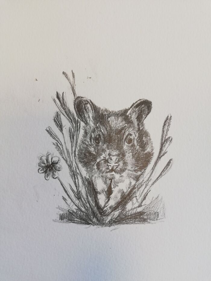 Hey Pandas, Draw A Picture Of Your Pet (Closed) Hey Pandas, Draw A Picture Of Your Pet (Closed)