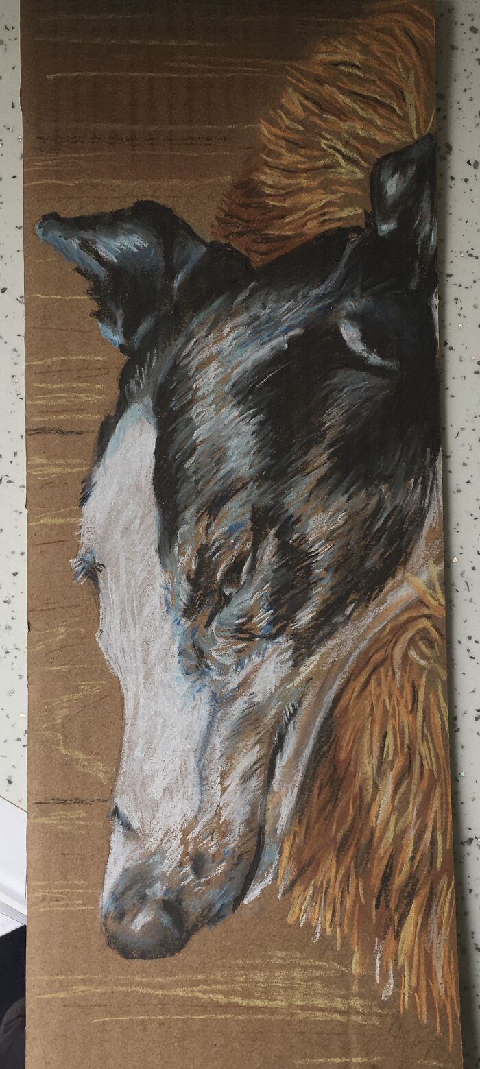 Hey Pandas, Draw A Picture Of Your Pet (Closed) Hey Pandas, Draw A Picture Of Your Pet (Closed)