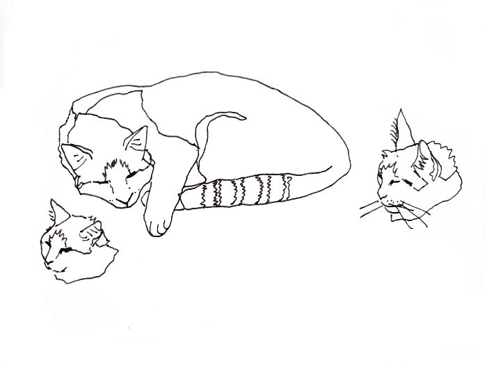 Hey Pandas, Draw A Picture Of Your Pet (Closed) Hey Pandas, Draw A Picture Of Your Pet (Closed)