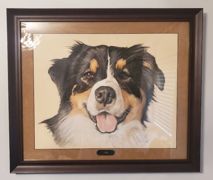 Hey Pandas, Draw A Picture Of Your Pet (Closed) Hey Pandas, Draw A Picture Of Your Pet (Closed)