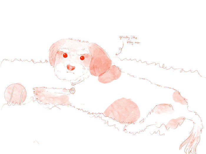 Hey Pandas, Draw A Picture Of Your Pet (Closed) Hey Pandas, Draw A Picture Of Your Pet (Closed)