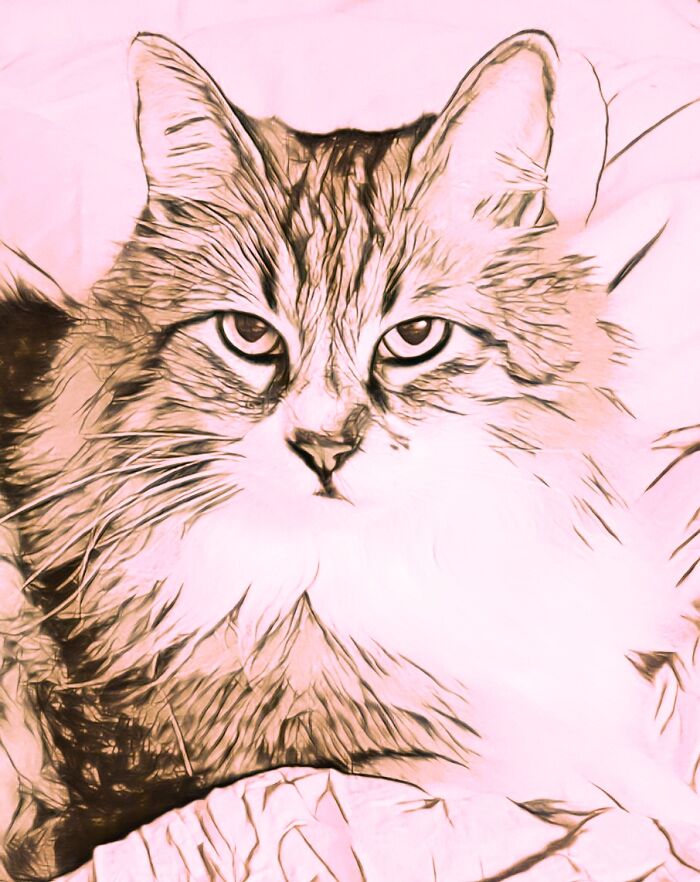 Hey Pandas, Draw A Picture Of Your Pet (Closed) Hey Pandas, Draw A Picture Of Your Pet (Closed)