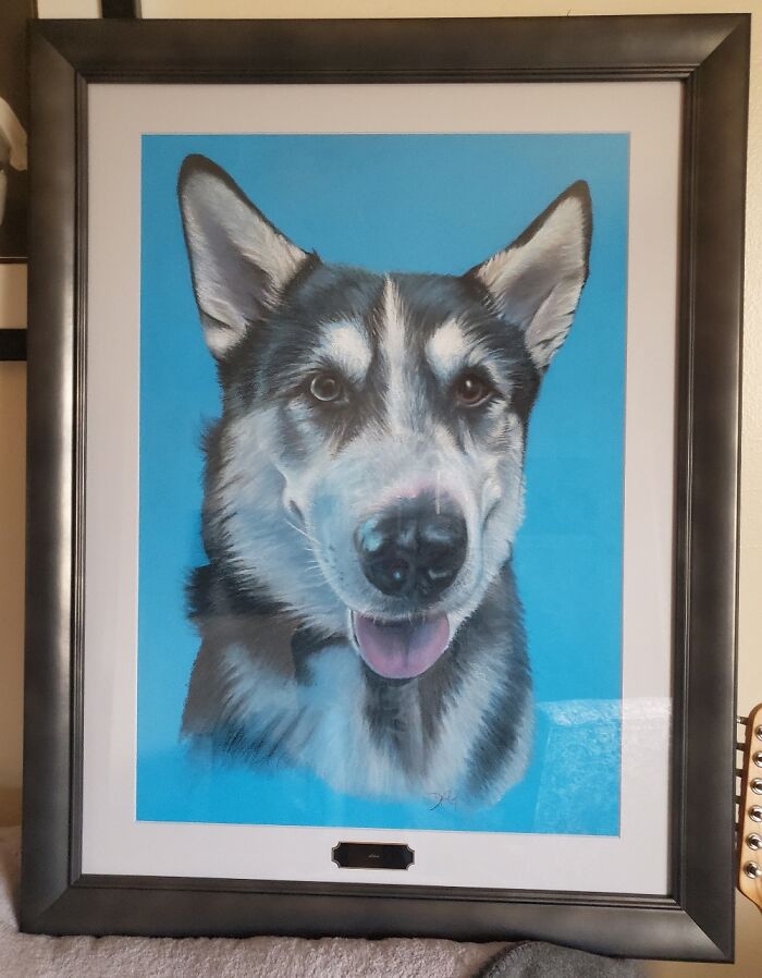 Hey Pandas, Draw A Picture Of Your Pet (Closed) Hey Pandas, Draw A Picture Of Your Pet (Closed)