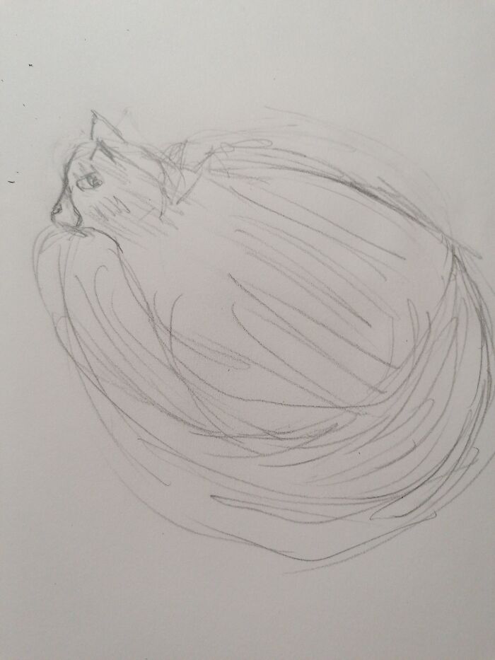 Hey Pandas, Draw A Picture Of Your Pet (Closed) Hey Pandas, Draw A Picture Of Your Pet (Closed)