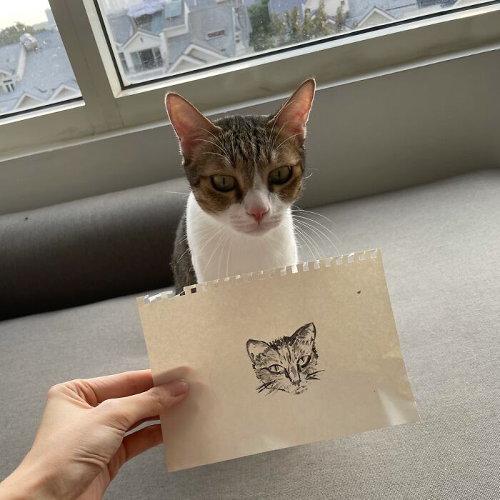 Hey Pandas, Draw A Picture Of Your Pet (Closed) Hey Pandas, Draw A Picture Of Your Pet (Closed)