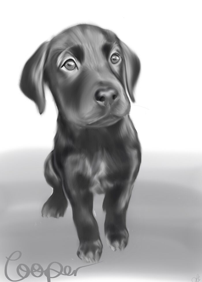 Hey Pandas, Draw A Picture Of Your Pet (Closed) Hey Pandas, Draw A Picture Of Your Pet (Closed)