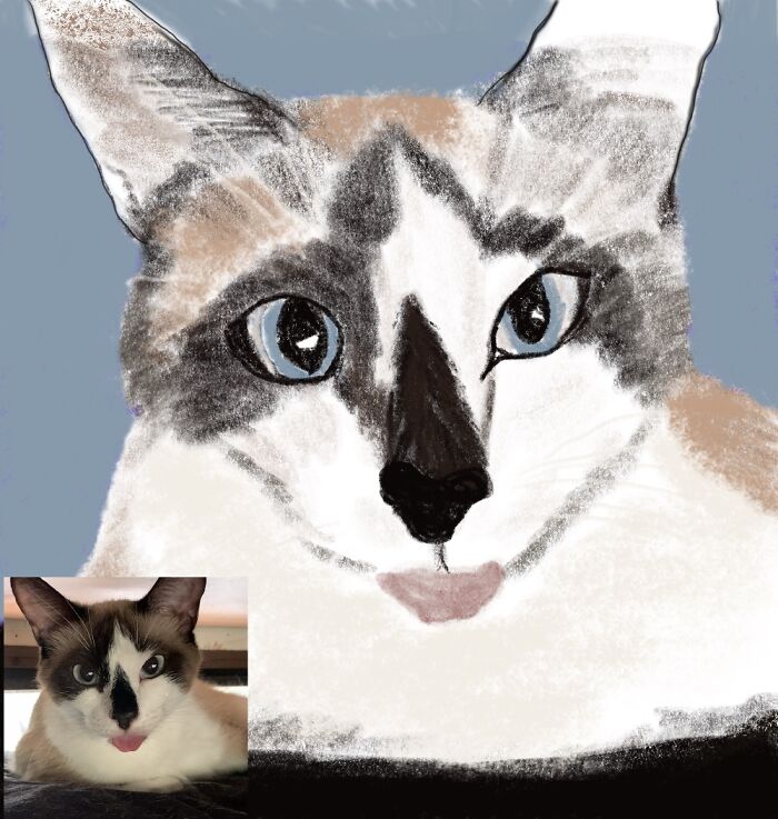 Hey Pandas, Draw A Picture Of Your Pet (Closed) Hey Pandas, Draw A Picture Of Your Pet (Closed)