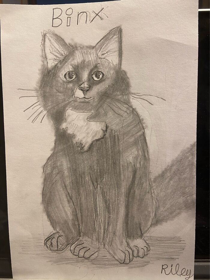 Hey Pandas, Draw A Picture Of Your Pet (Closed) Hey Pandas, Draw A Picture Of Your Pet (Closed)