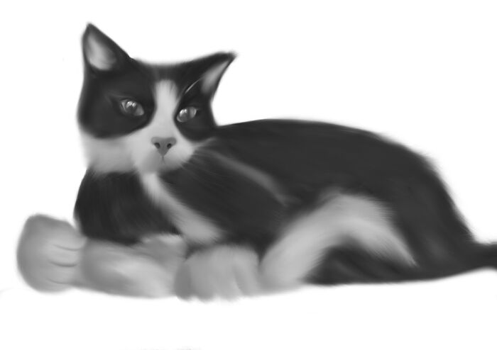 Hey Pandas, Draw A Picture Of Your Pet (Closed) Hey Pandas, Draw A Picture Of Your Pet (Closed)