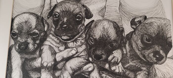 Hey Pandas, Draw A Picture Of Your Pet (Closed) Hey Pandas, Draw A Picture Of Your Pet (Closed)